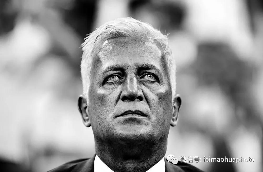 瑞士队主教练佩特科维奇