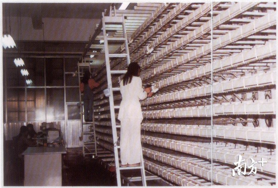 90年代程控电话的配线设备。