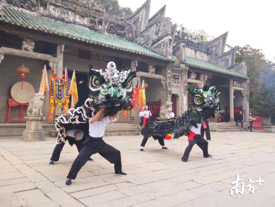 剧组拍摄斗狮。南方+记者张秀蓝 摄