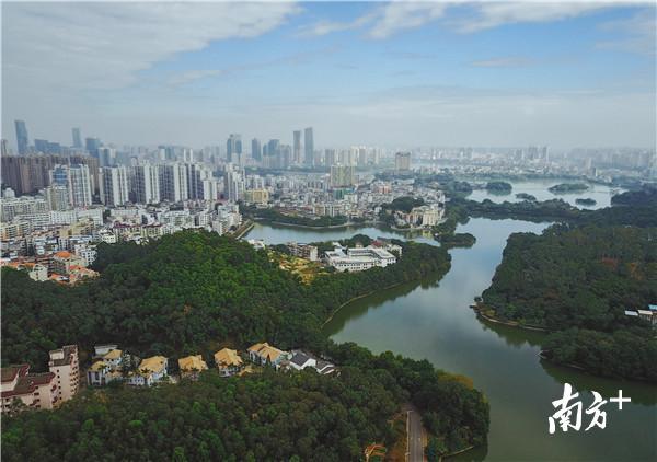 透过西湖看惠州。 透过西湖看惠州。