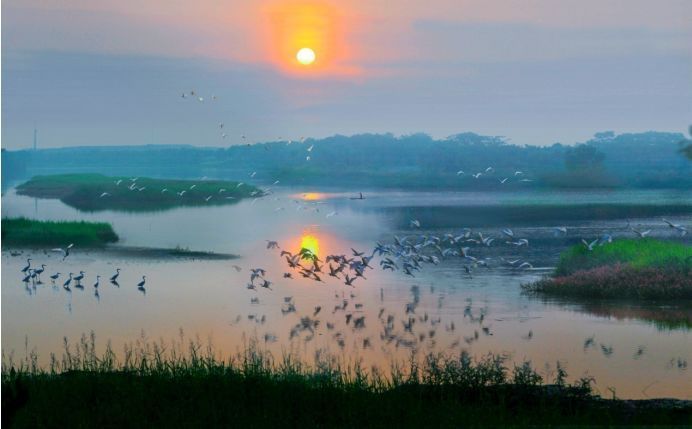 三水区摄影家协会名誉主席梁注锴摄 三水区摄影家协会名誉主席梁注锴摄