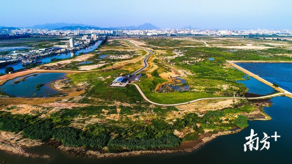 建设中的东莞滨海湾新区交椅湾启动区.南方日报记者 孙俊杰 摄