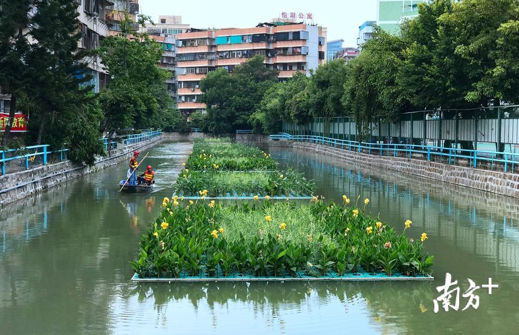 汕头龙湖沟图片