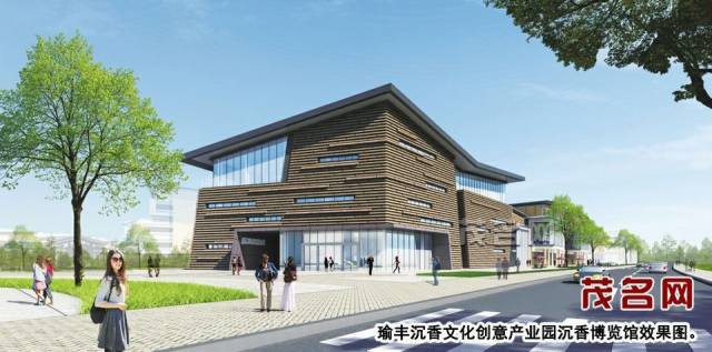 沉香种植全攻略：从白木香树苗到结香采收，一篇读懂沉香种植的门道