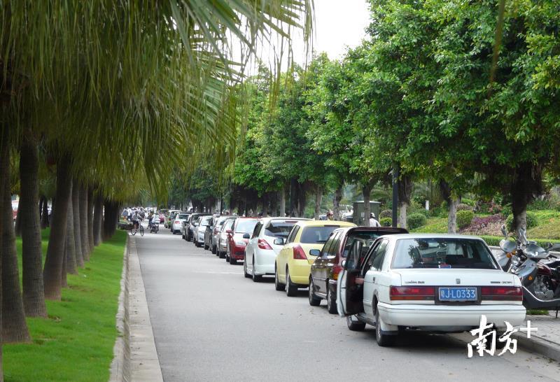江门旧城区停车难，很多车辆就这样停在路边。杨兴乐摄