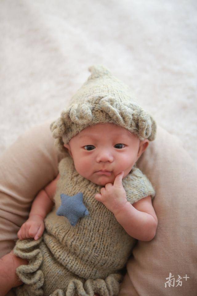 如今的肥肥已经恢复健康,活泼可爱。 如今的肥肥已经恢复健康,活泼可爱。