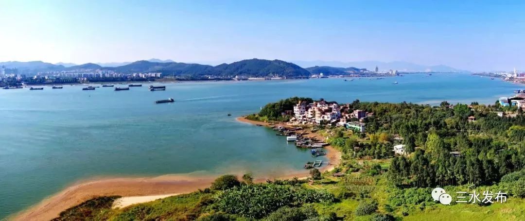 白坭波子角 白坭波子角