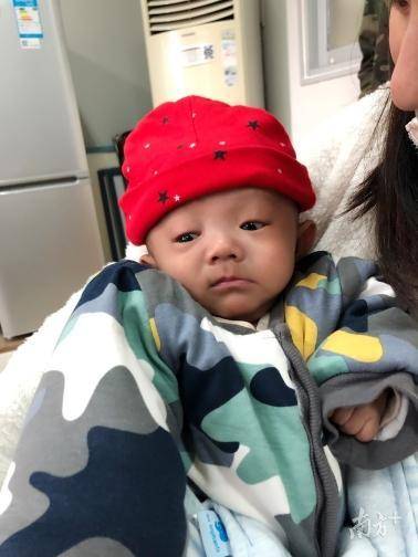 如今的肥肥已经恢复健康,活泼可爱。 如今的肥肥已经恢复健康,活泼可爱。