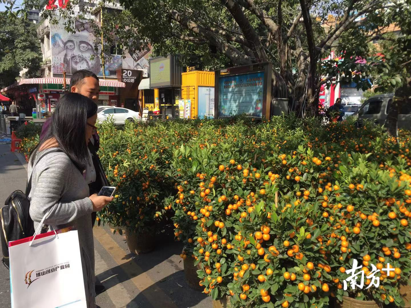 市民在花市选购年桔