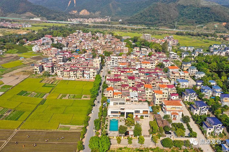 快为你心中的鼎湖最美乡村投上一票!