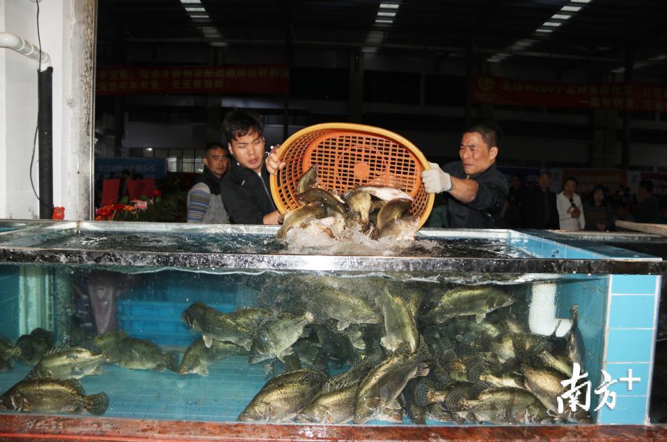 海鲜批发区商户在备货