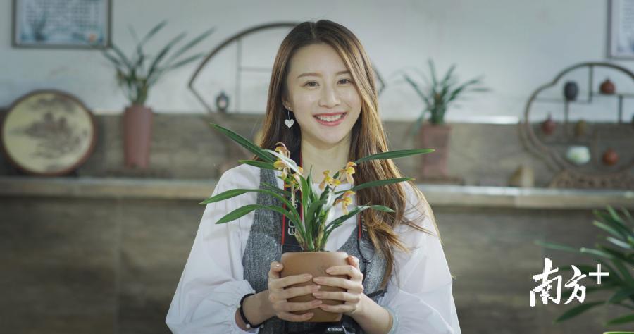 翁源兰花。张由琼 摄