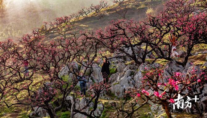 李洞桃花谷。李沛年 摄