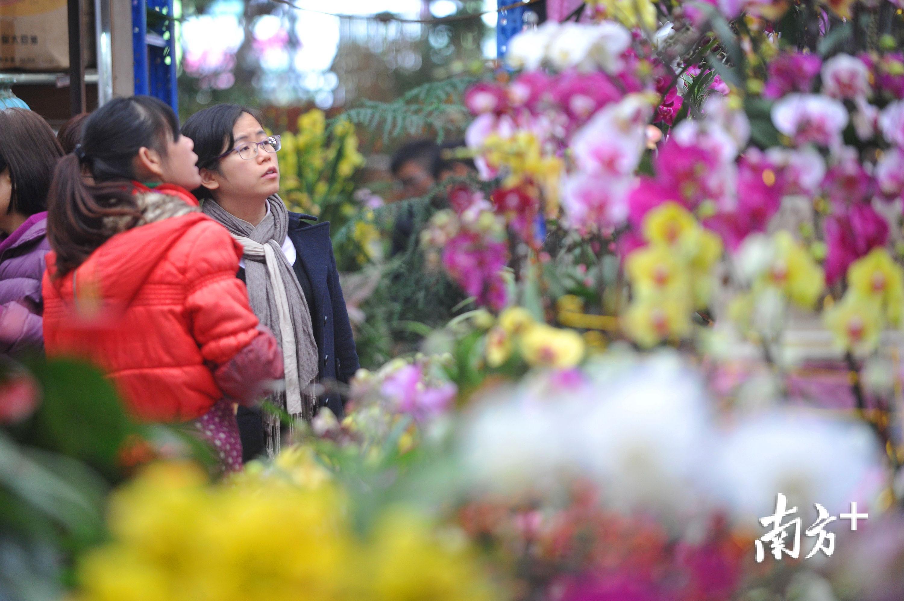 行花街年味濃,快來討個好彩頭!廣東各地花市攻略請收好_南方plus_南方