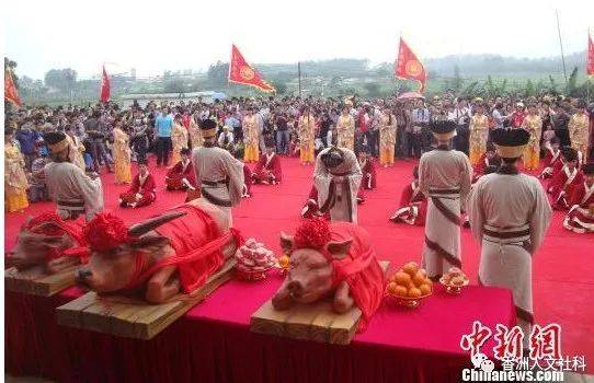 古琴演出：千年文化的旋律再现