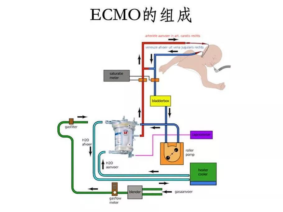 香河县人民医院