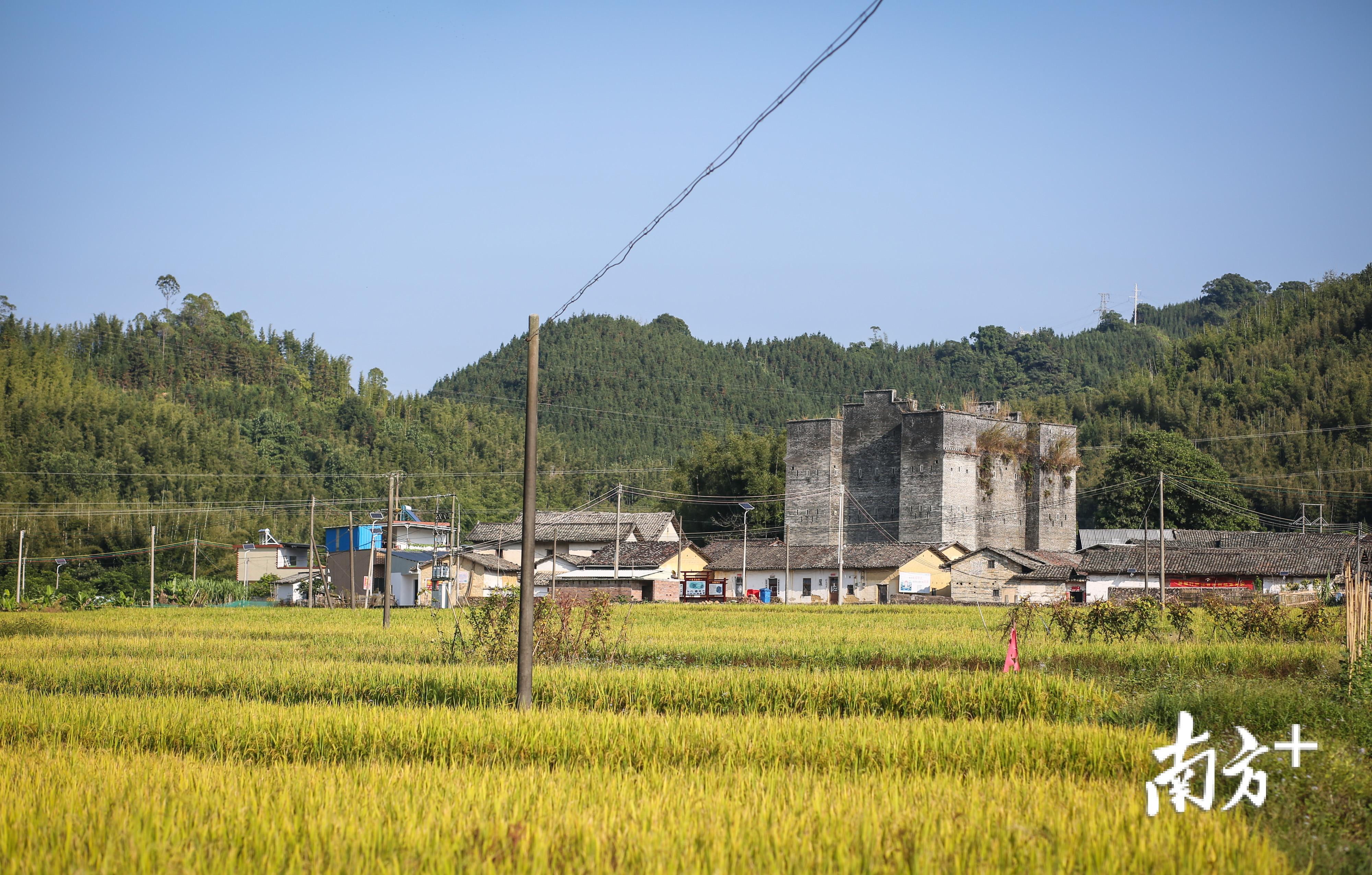位于龙门县新围村的古炮楼建筑于2008年被公布为第五批广东省文物保护