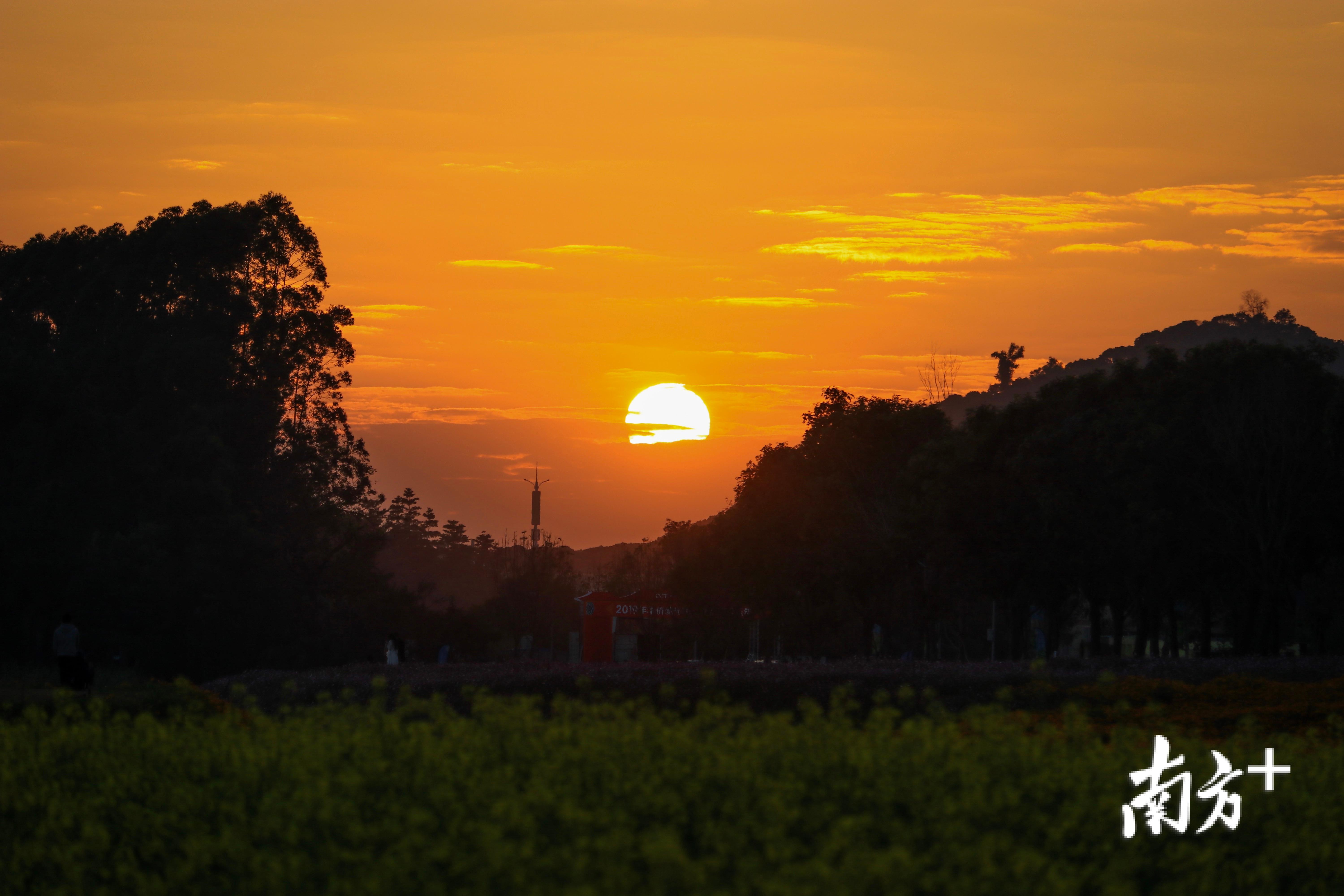 光明小镇的日落。江晓彤 摄 光明小镇的日落。江晓彤 摄