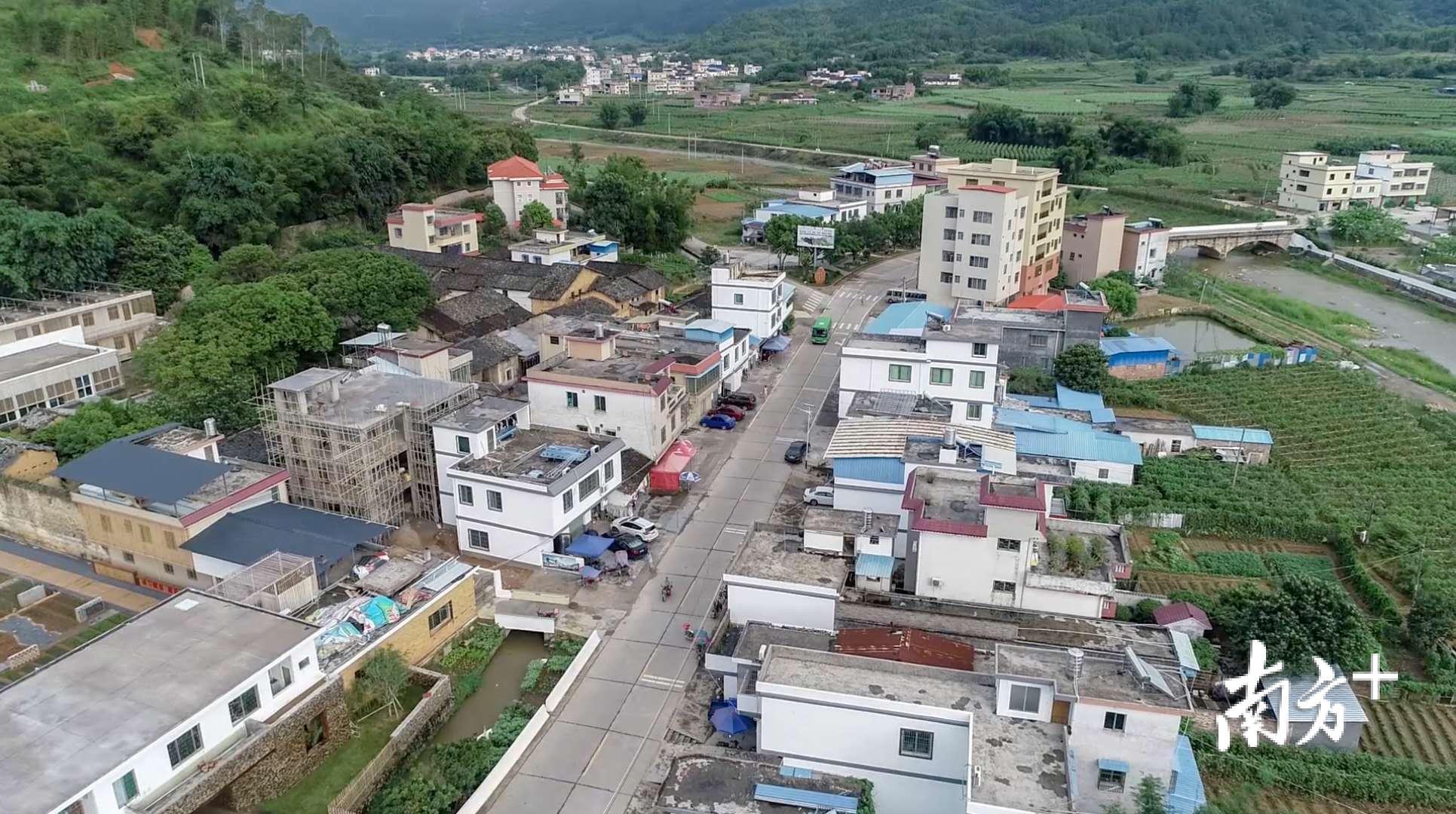 新春走基层·乡土追梦人⑤|重庆美女为何自称“广东村姑”？这位乡村规划师用脚步丈量土地_南方plus_南方+