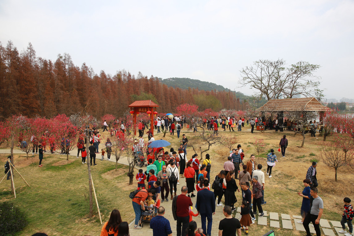 肇庆桃花岛风景区 肇庆桃花岛风景区