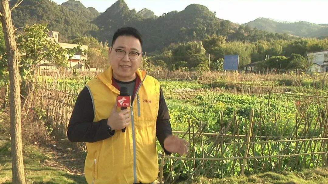 正文据了解,在2010年的时候,陈印带自筹资金租下了村里的200多亩土地