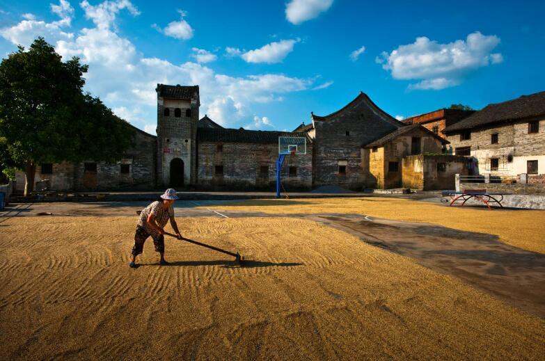 《乡韵》黄三妹摄  拍摄地点:连州市东陂镇前江村