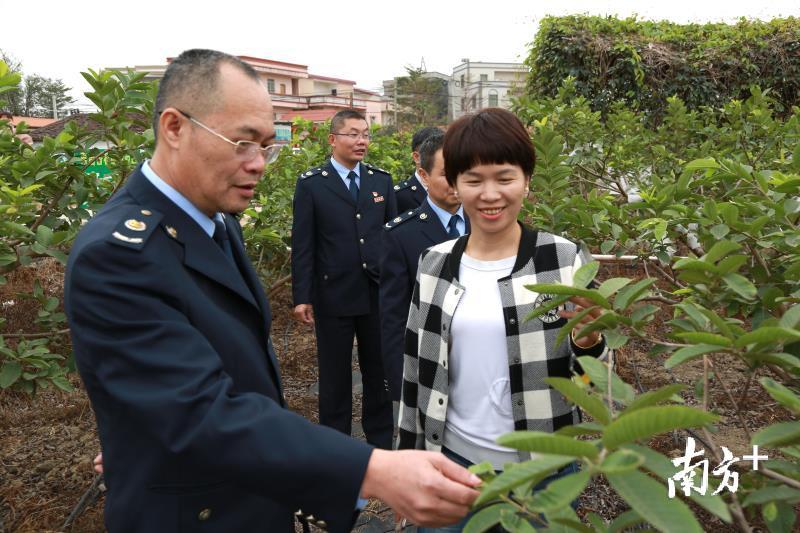 国家税务总局高州市税务局税务人员在温锦玲带领下深