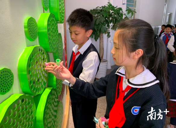 福田区美莲小学心愿“莲蓬”。 福田区美莲小学心愿“莲蓬”。