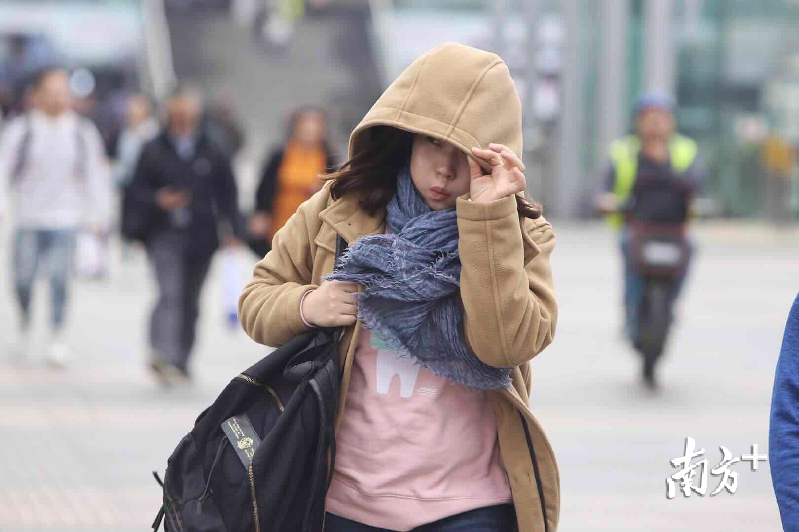 广佛深三地齐降温 一场春雨遍地"黄金"