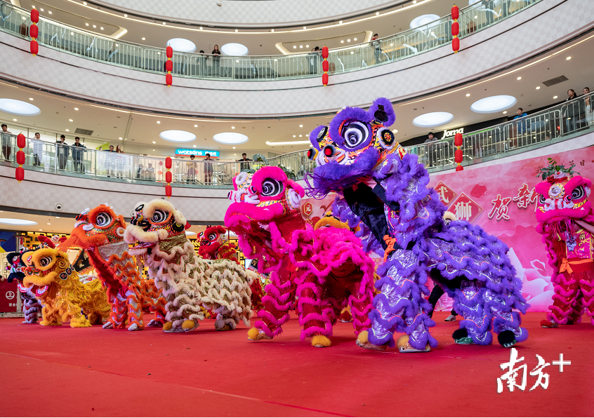 参加桂城武术龙狮贺新春活动的醒狮队集体亮相。桂城宣办供图