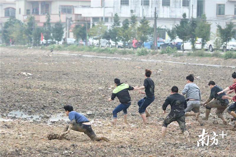 泥地打滚的“土味”元宵节。 泥地打滚的“土味”元宵节。