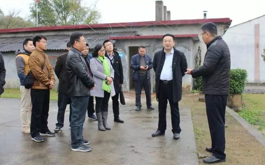 要闻快讯吴耿淡到望埠镇考察调研四则