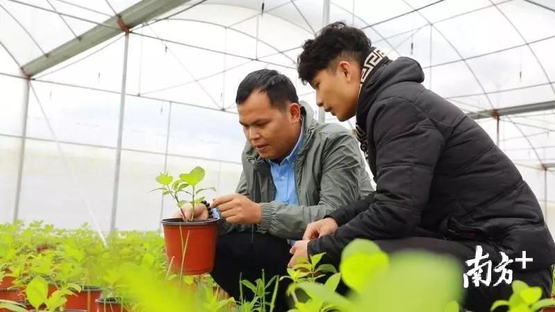 脱贫攻坚，资料图