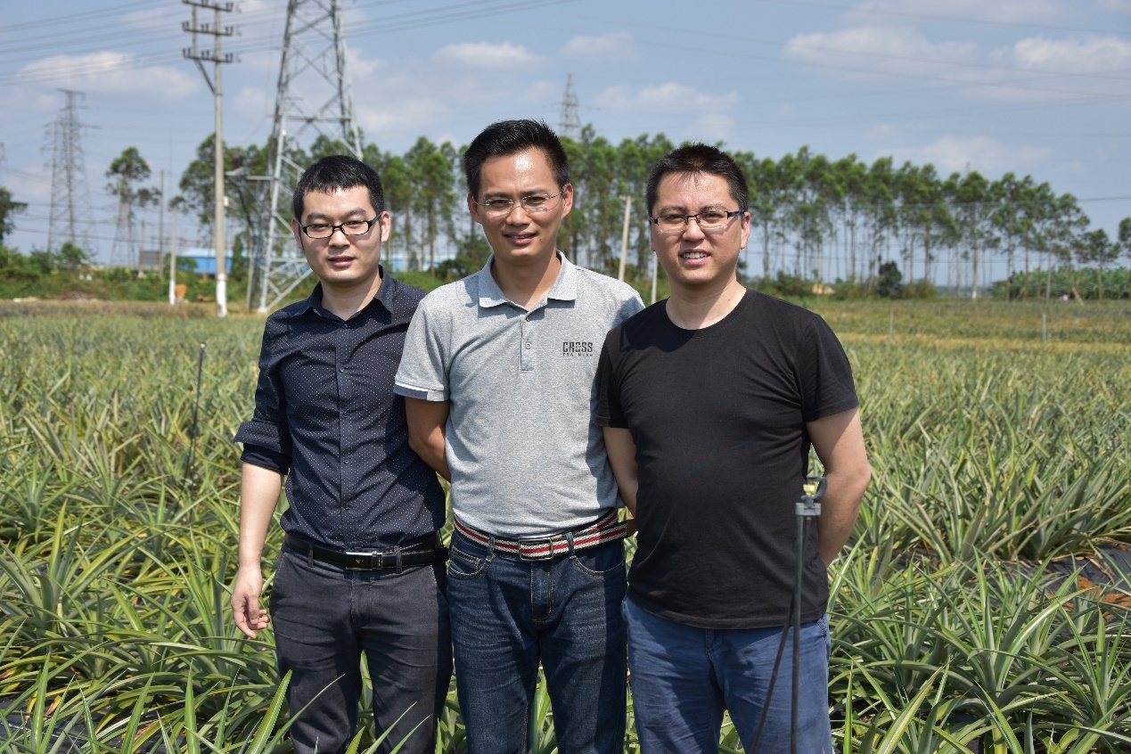 诺香园农产品专业合作社理事长陈如约（中）。