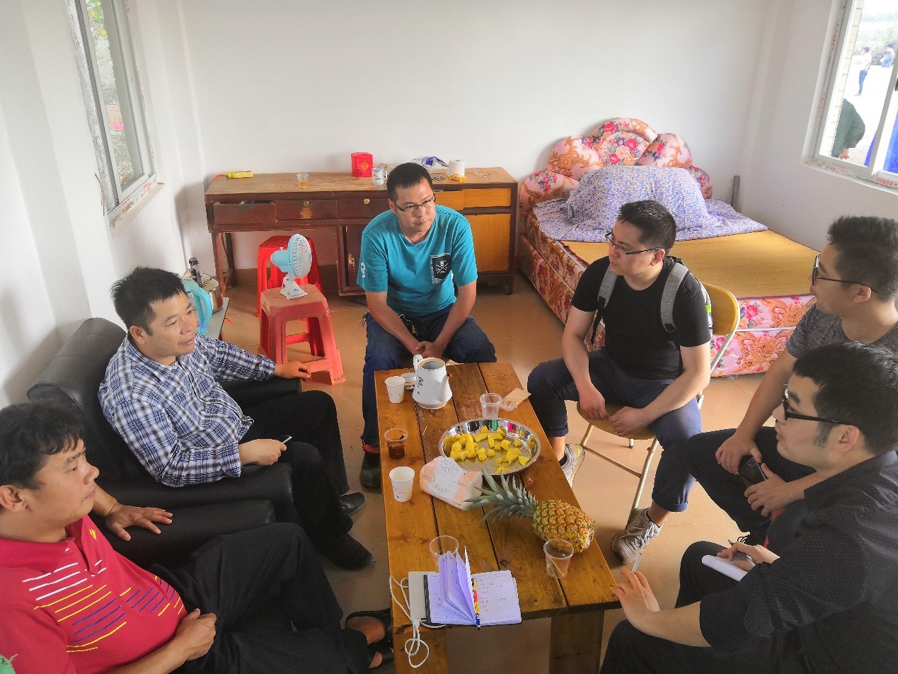 调研组与红星农场生产团队和销售团队交流金钻凤梨情况。