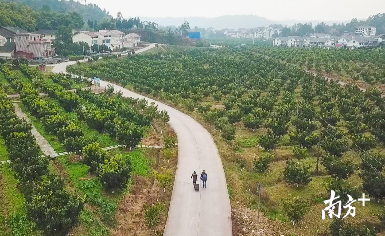 △20日下午，四川广安市崇望乡，吴仁明和妻子拖着行李走在乡道上，准备乘车前往广安火车站。