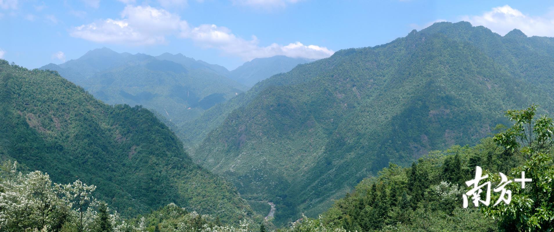南岭绿色生态屏障。钟华摄