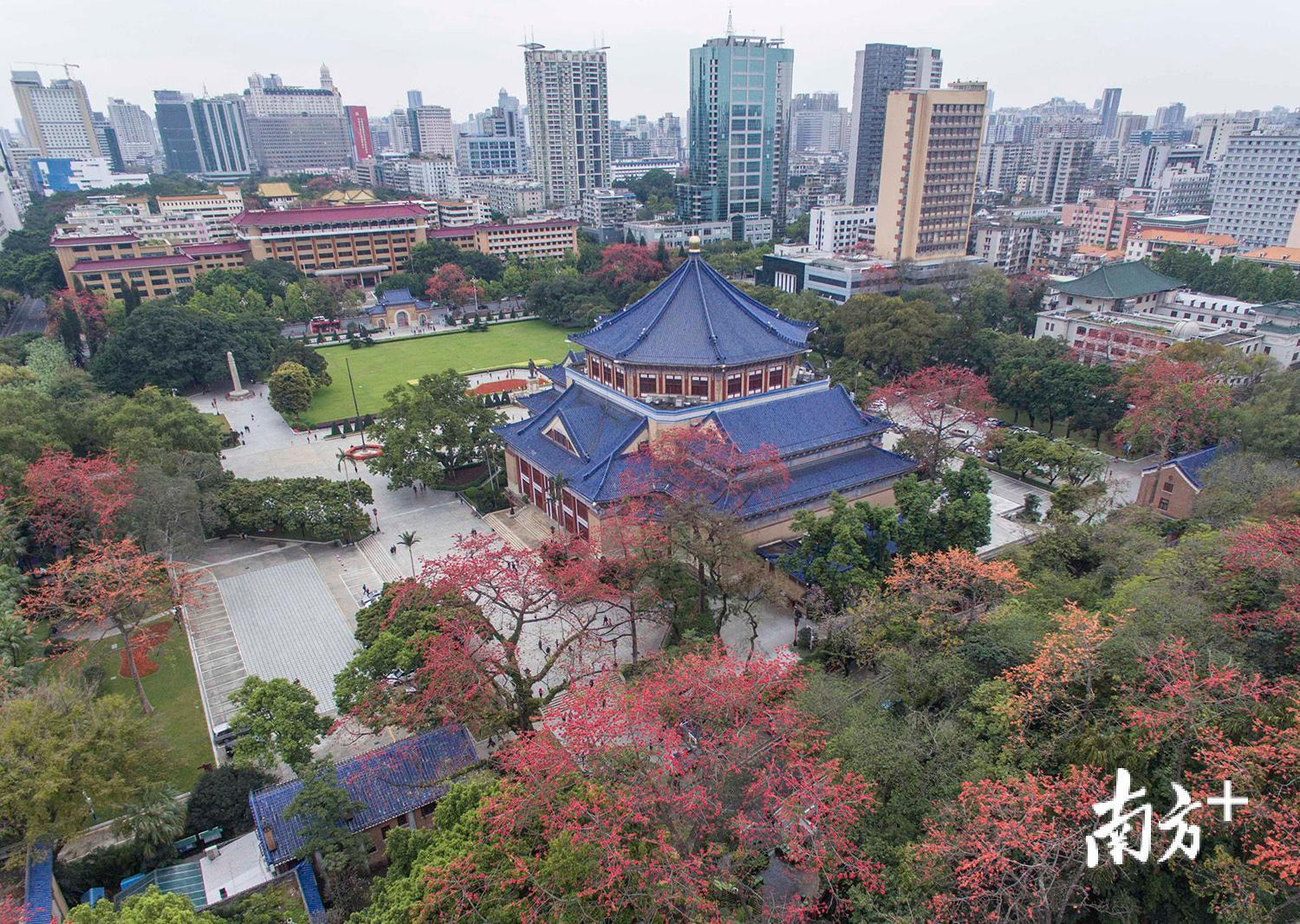 2月24日，木棉花开，越秀山旁的中山纪念堂静静地矗立于红花翠树之中。六豪 摄