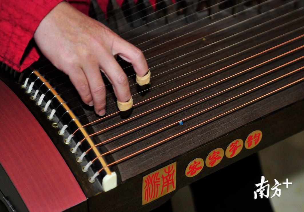 客家筝被称为“中州古韵活化石”。（南方日报记者 何森垚 摄）