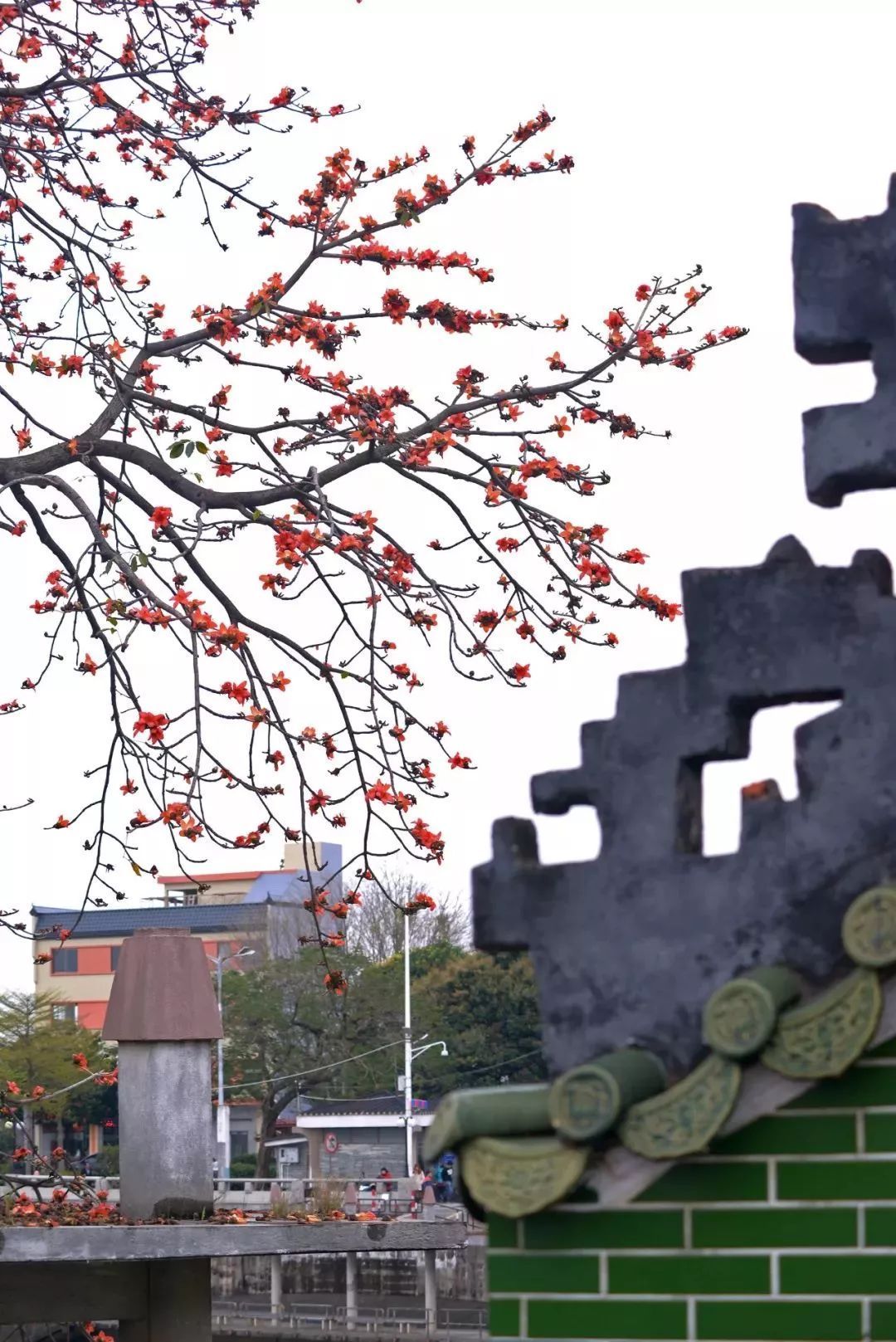 图:雯雯 摄 图:雯雯 摄