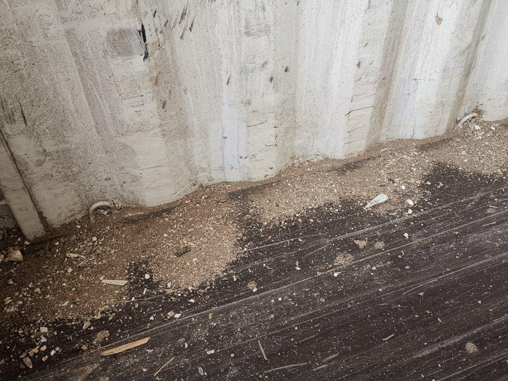 汕头海关所属汕头港海关在对一批空箱进行常规抽查。