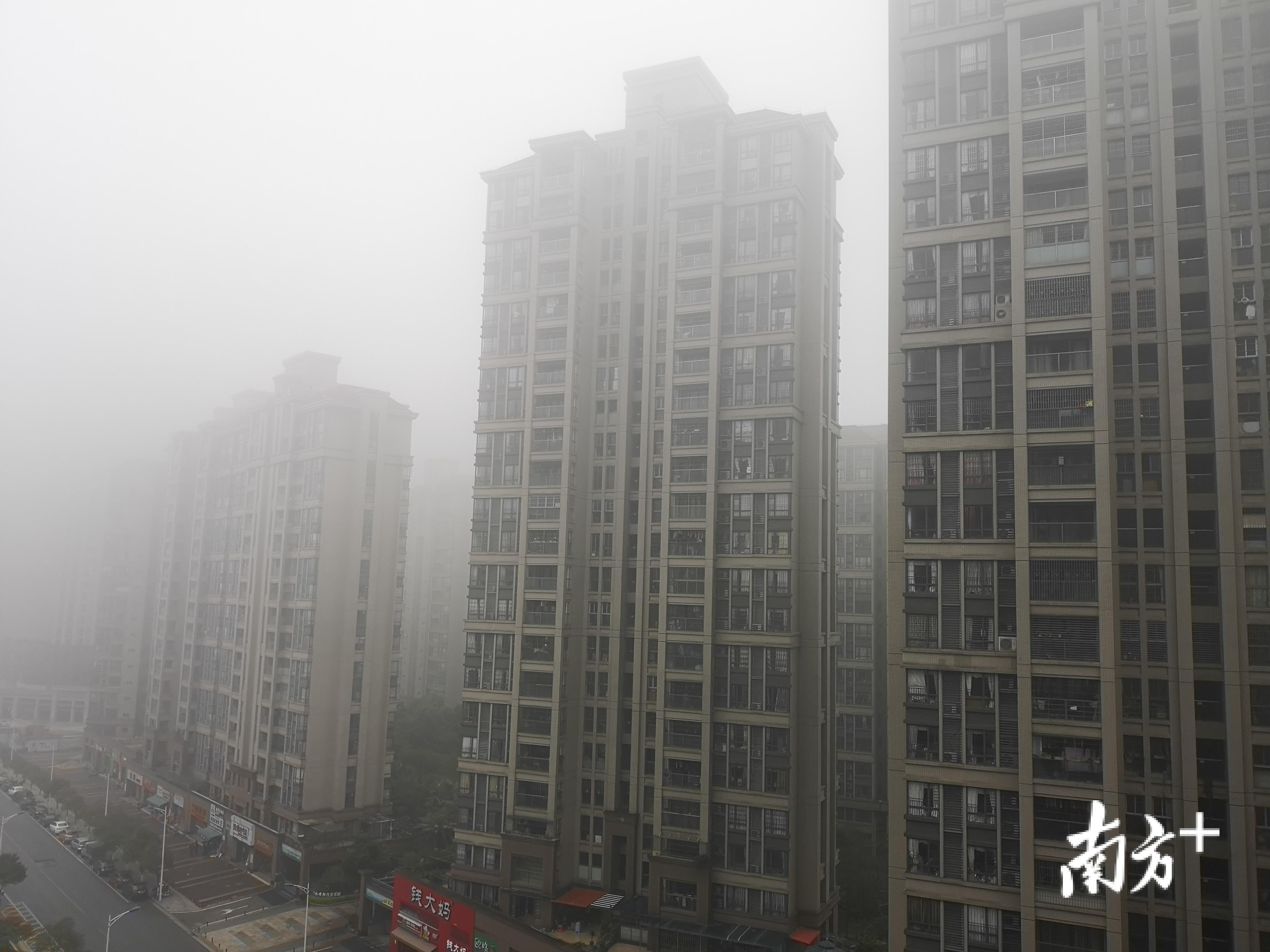 晨起观景，误入梦境深处。三水大雾橙色预警，雅居乐花园附近雾气蒙蒙。李周秦 摄