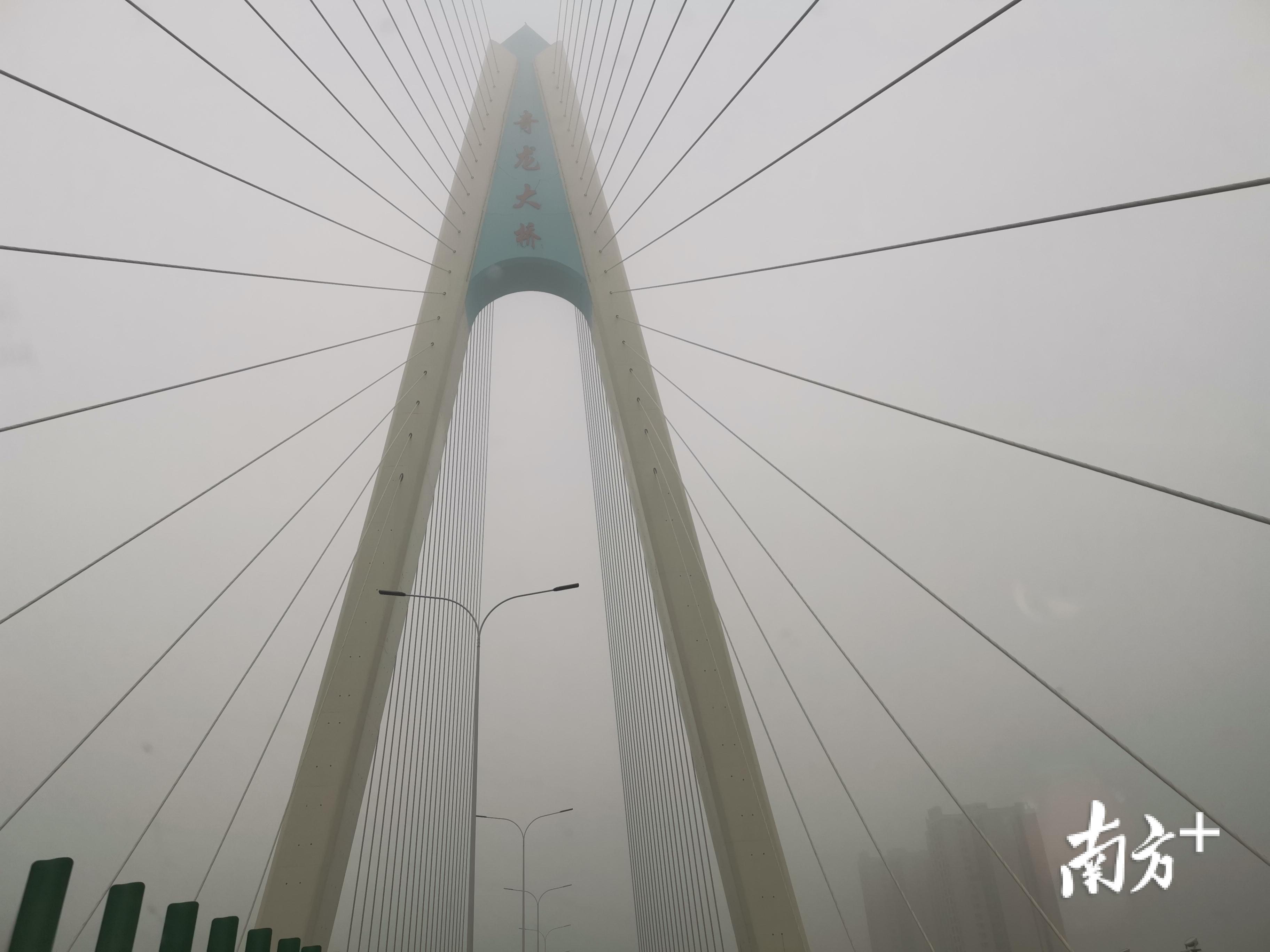  春雾中的奇龙大桥 ，美如仙境。唐梦 摄