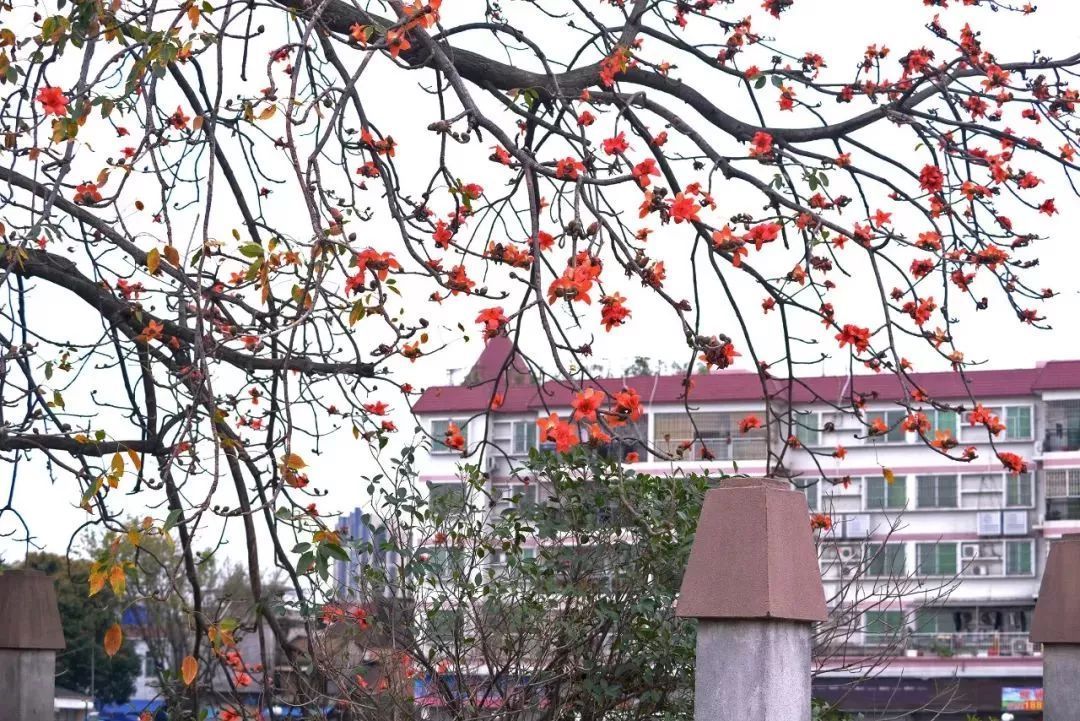 图:雯雯 摄 图:雯雯 摄