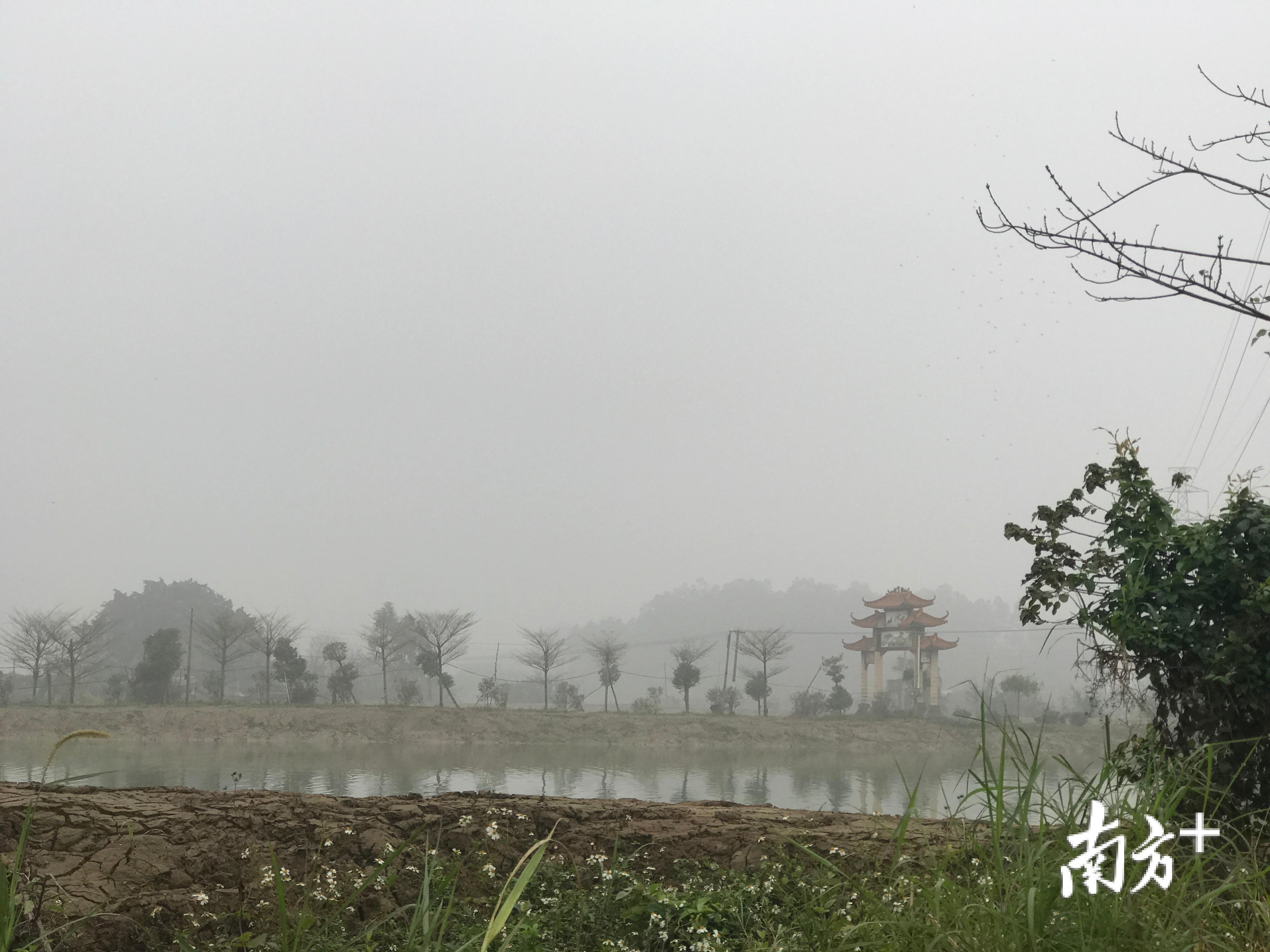 大雾弥漫，三水区白坭镇富景社区南边新村雾色朦胧，鱼塘边的牌坊若隐若现。张秀蓝 摄