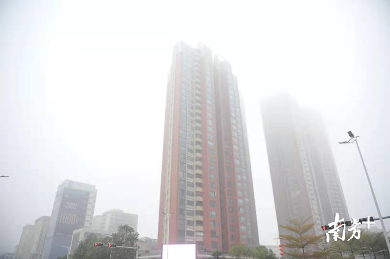 禅城普君北路。戴嘉信 摄