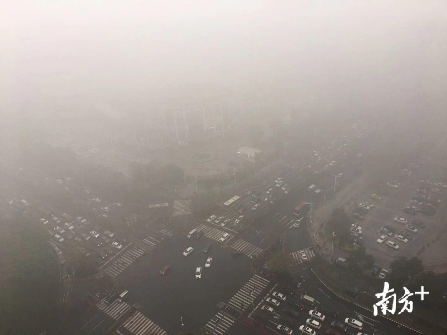 禅城、南海多个重点路段出现大雾。网友 雨女 摄
