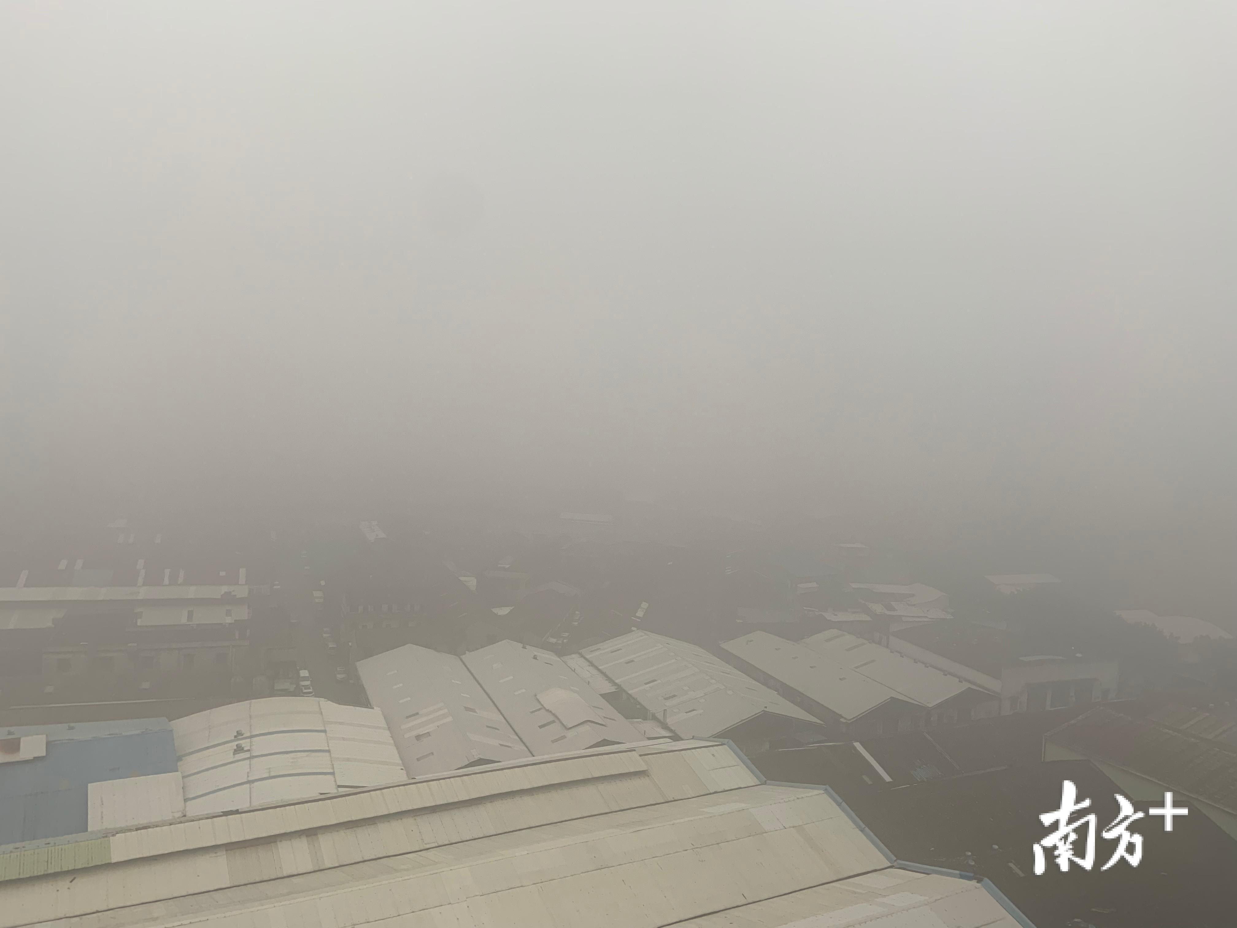 早晨7点，市民李先生从禅城张槎大江家中拍摄楼下淹没在雾气中的仓库厂房。市民李先生供图