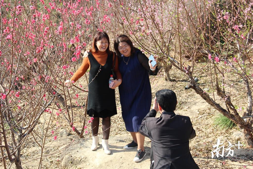 桃花的盛开，让游客感受到春天的活力。胡少华 摄