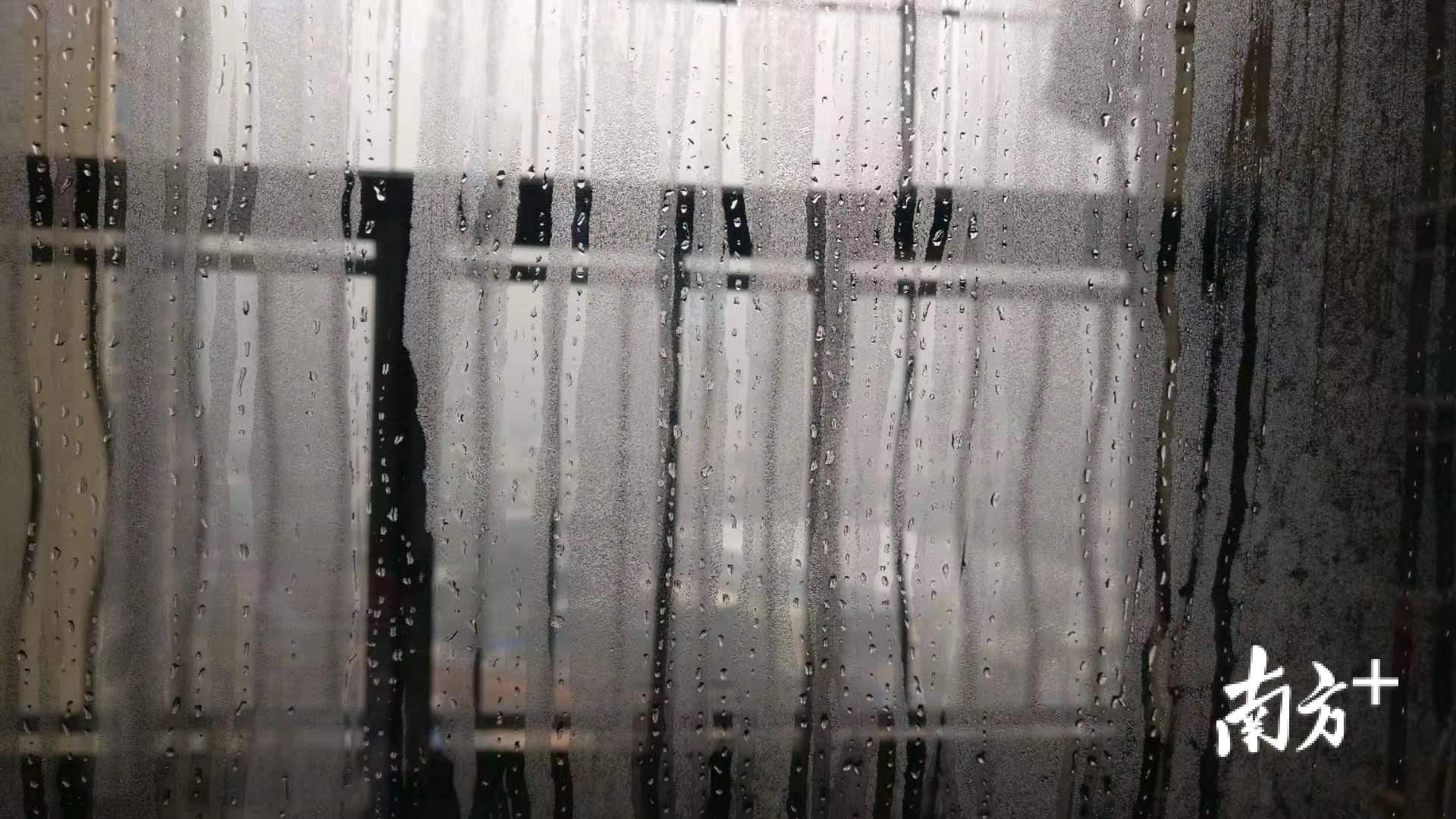 窗户潮湿到“流泪”。 窗户潮湿到“流泪”。